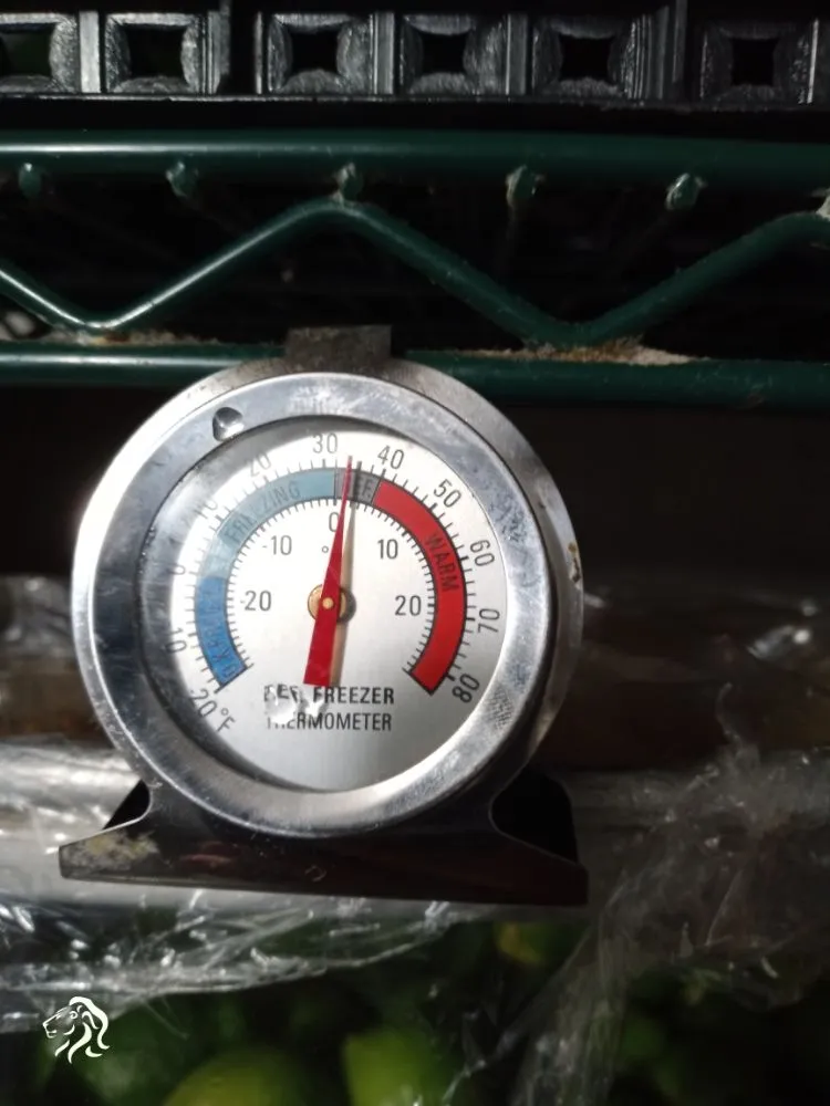 Expert air conditioning tune-up for fast service across St Louis, MO - Jenko Mechanical Service
