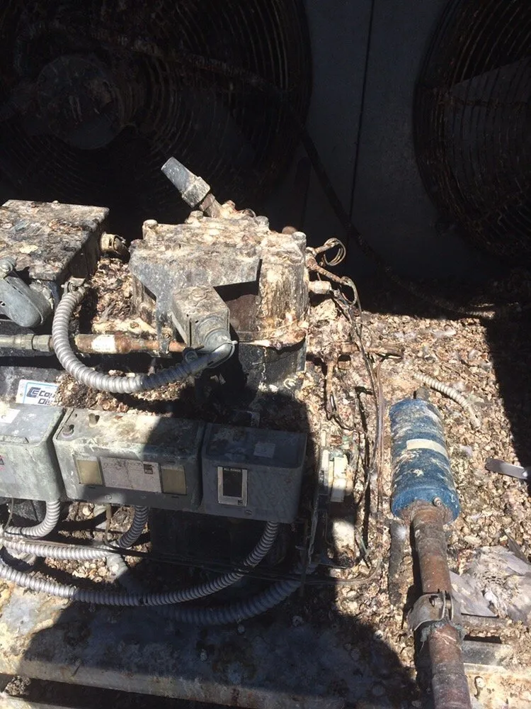 Slide of Jenson Total Services