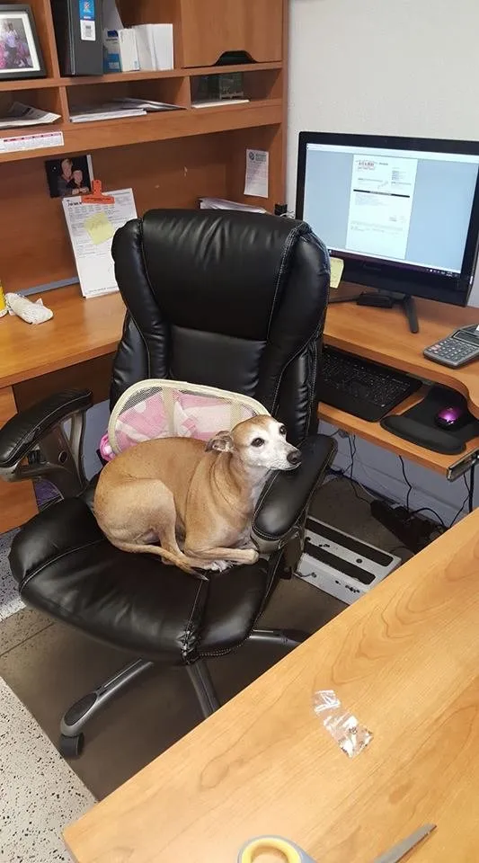 Slide of Jerry Brittingham AC & Heat