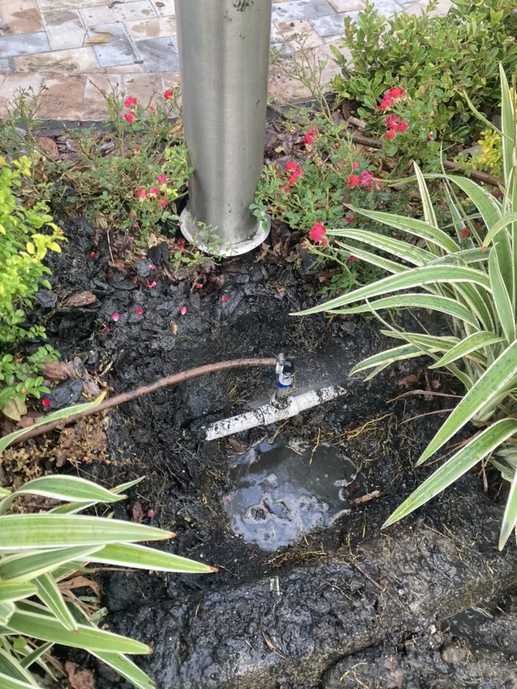 Slide of Jerrydwilliams