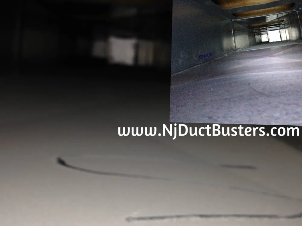 Slide of Jersey Duct Busters