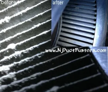 Slide of Jersey Duct Busters