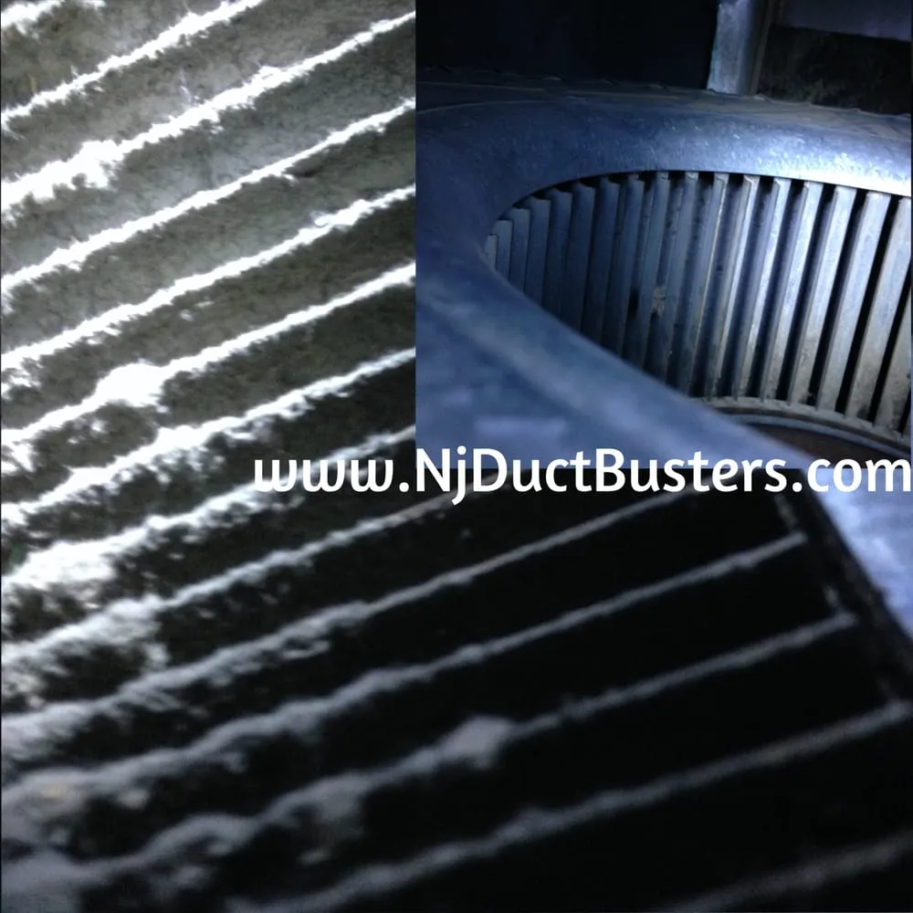 Slide of Jersey Duct Busters
