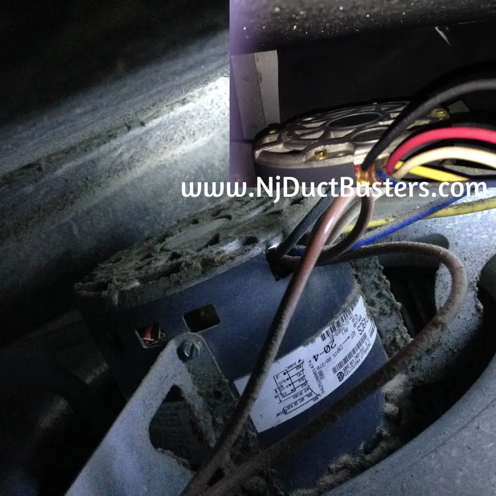 Slide of Jersey Duct Busters