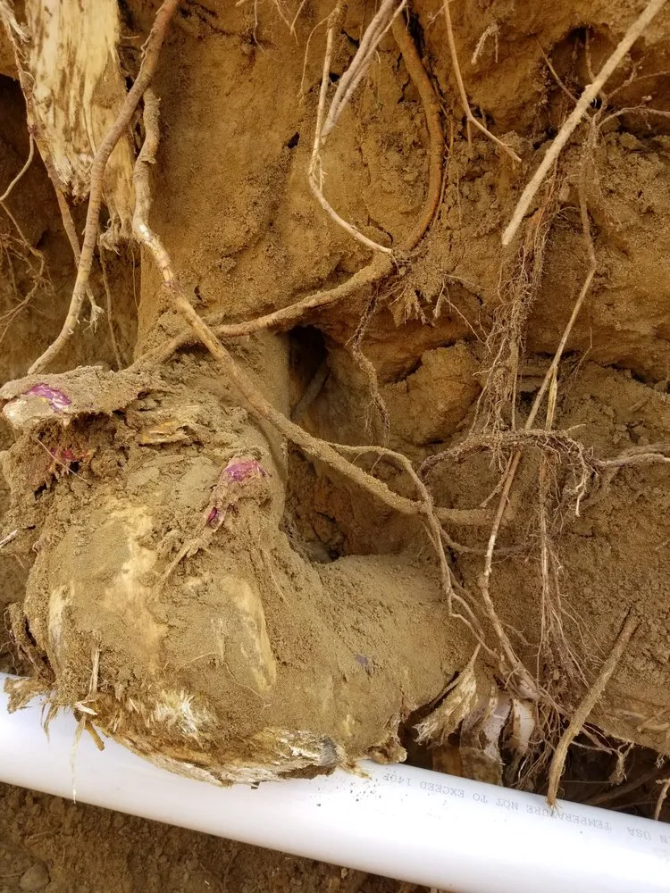 Slide of JFK Plumbing & Heating