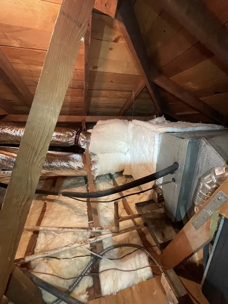 Slide of JH Rodent Insulation