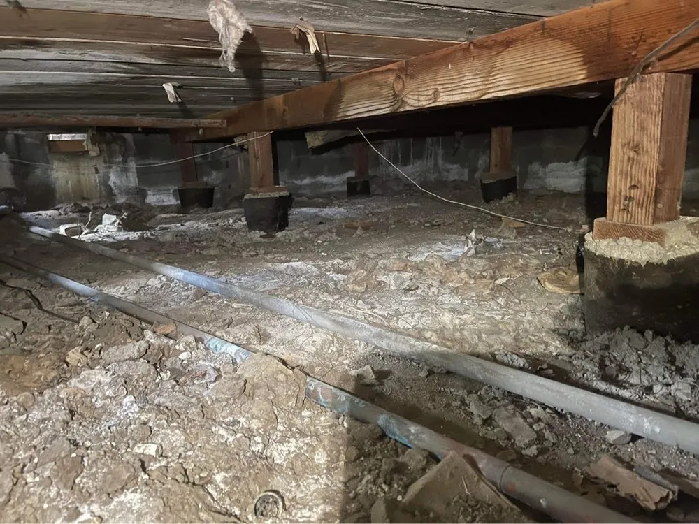 Slide of JH Rodent Insulation