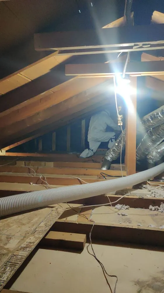 Slide of JH Rodent Insulation