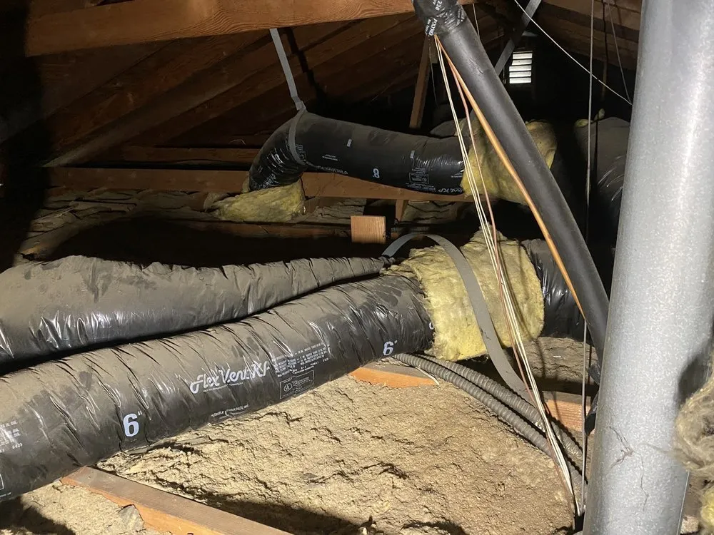 Slide of JH Rodent Insulation