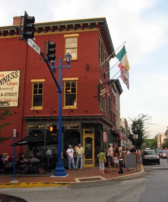 Slide of JH Rodent Insulation