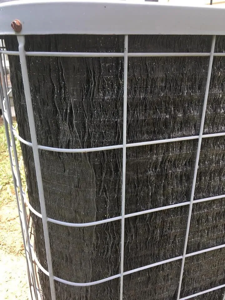 Slide of Jim Dickerson