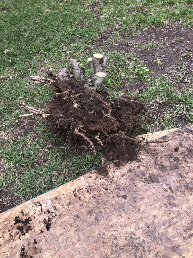 Slide of J&J's Trucking and Hauling Services