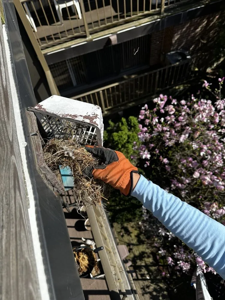 Slide of J&KB Clear Quality Air