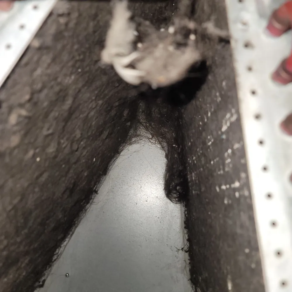 Slide of JL Home Construction