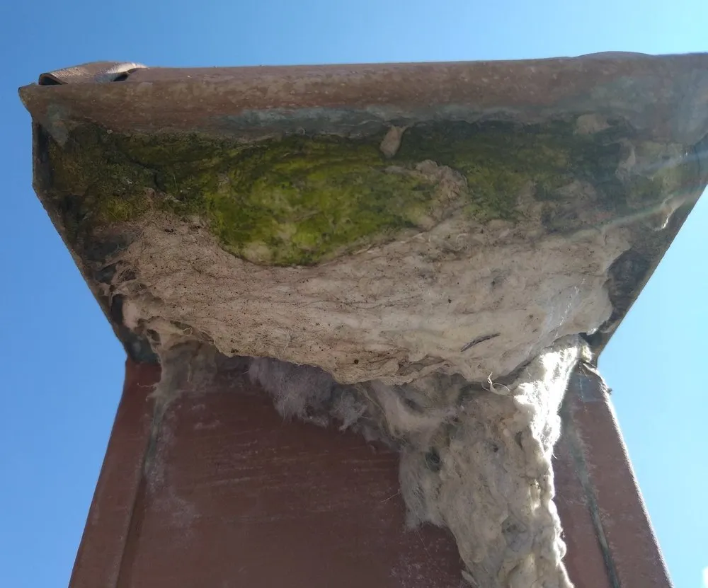 Slide of JL Midas Breathe Kleen Aire