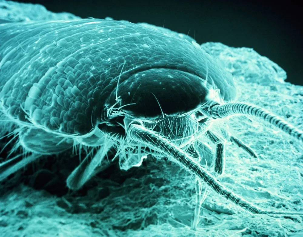 Slide of JMS Air & Heat