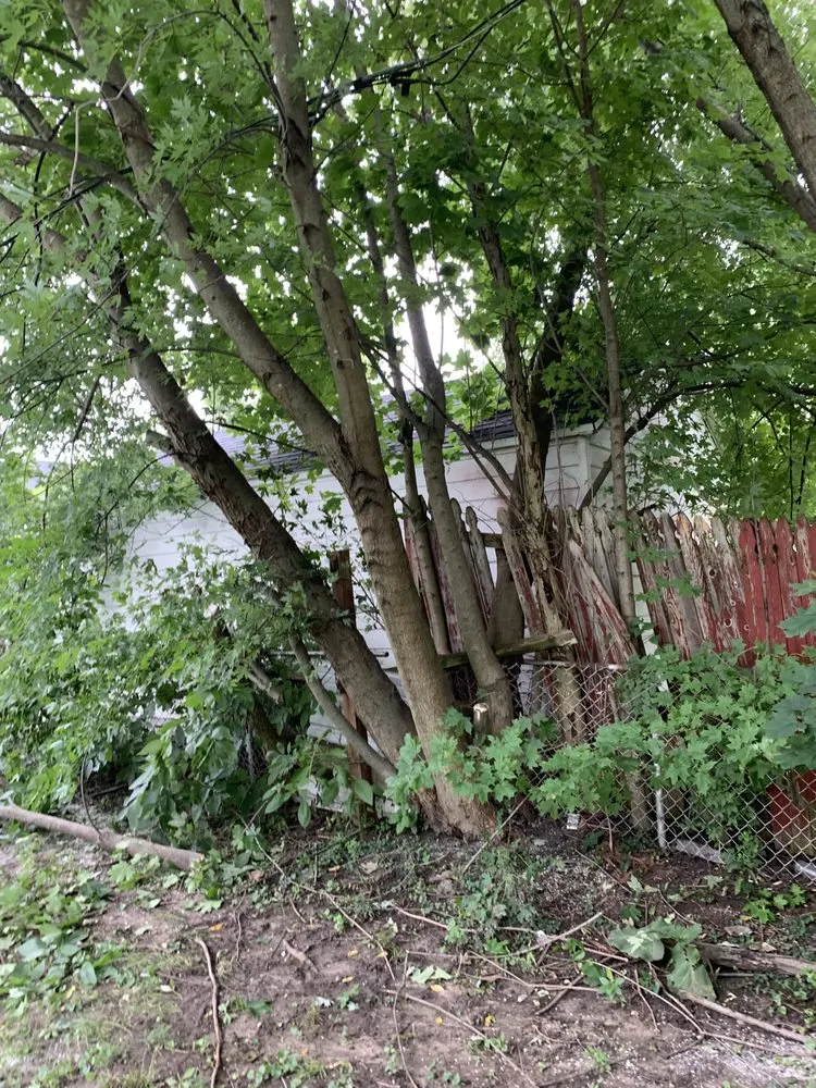 Slide of JNR Home Improvement