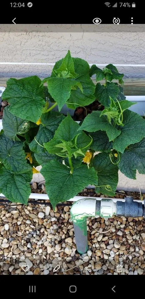 Slide of Joe Does Solar By LMNdeavors