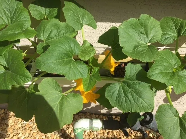 Slide of Joe Does Solar By LMNdeavors