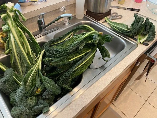 Slide of Joe Does Solar By LMNdeavors