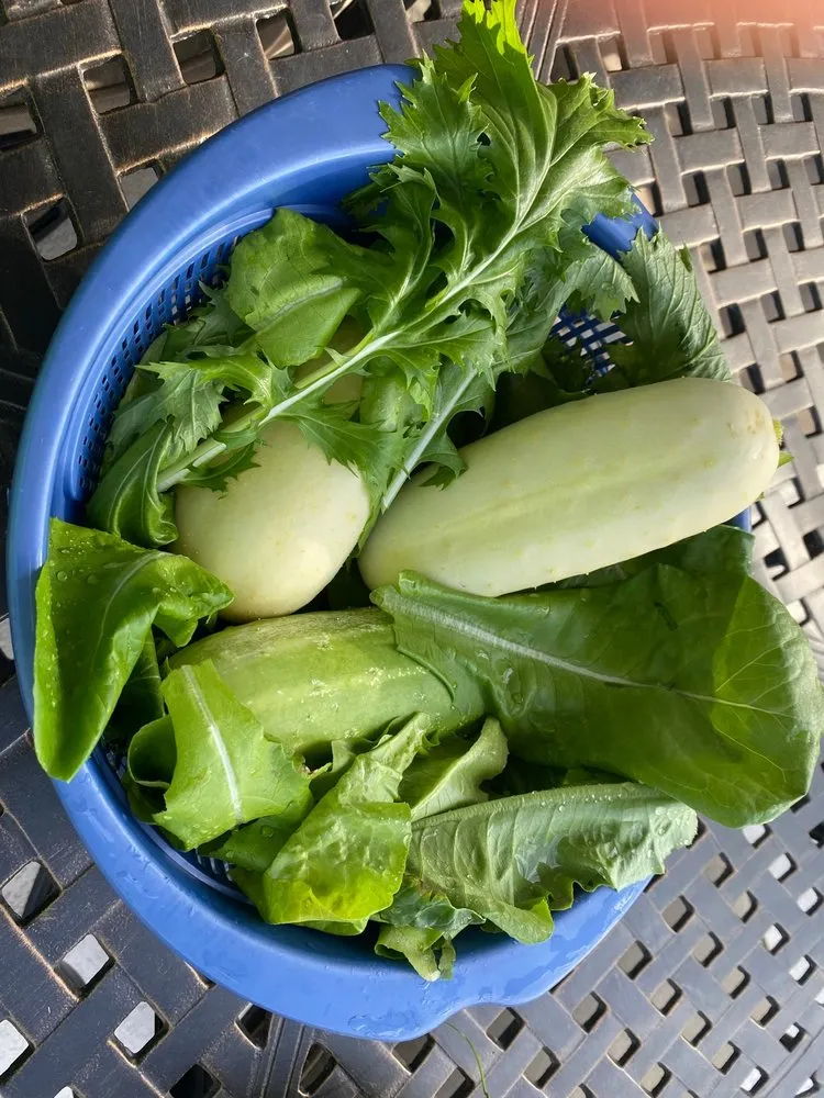 Slide of Joe Does Solar By LMNdeavors