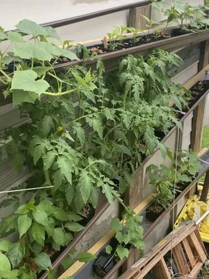 Joe Does Solar By LMNdeavors Logo