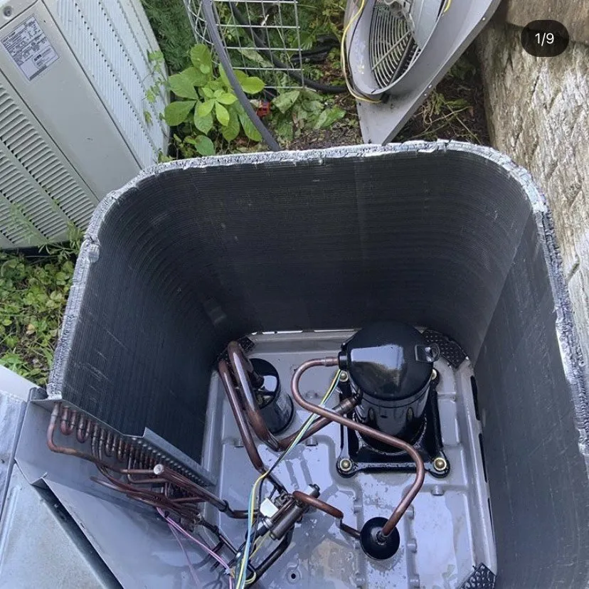 Slide of Johel Ramos