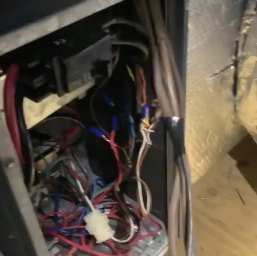 Slide of Johel Ramos