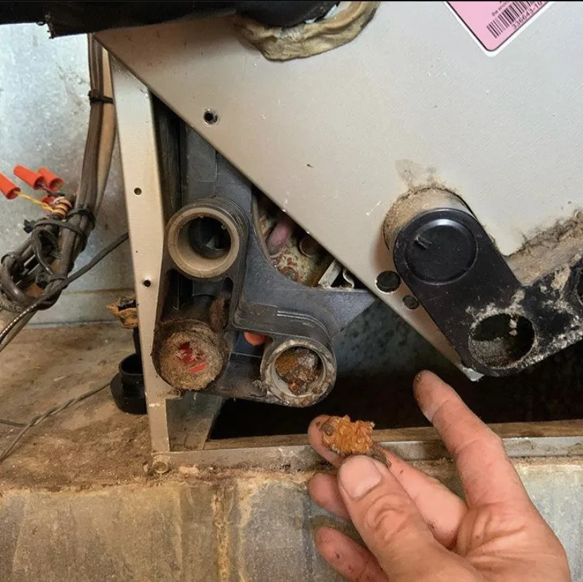 Slide of Johel Ramos