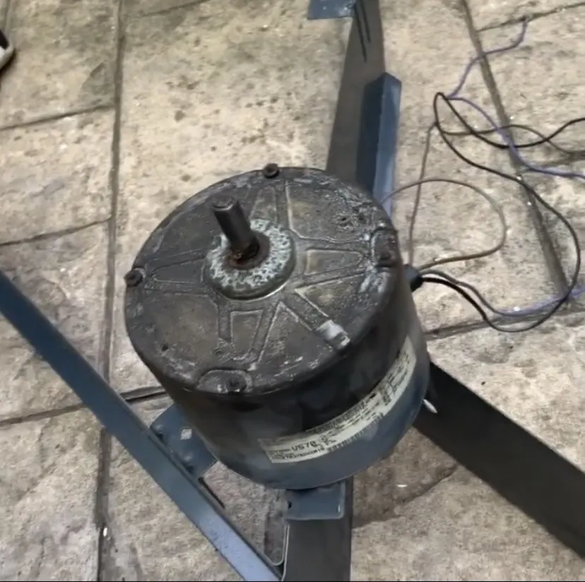 Slide of Johel Ramos