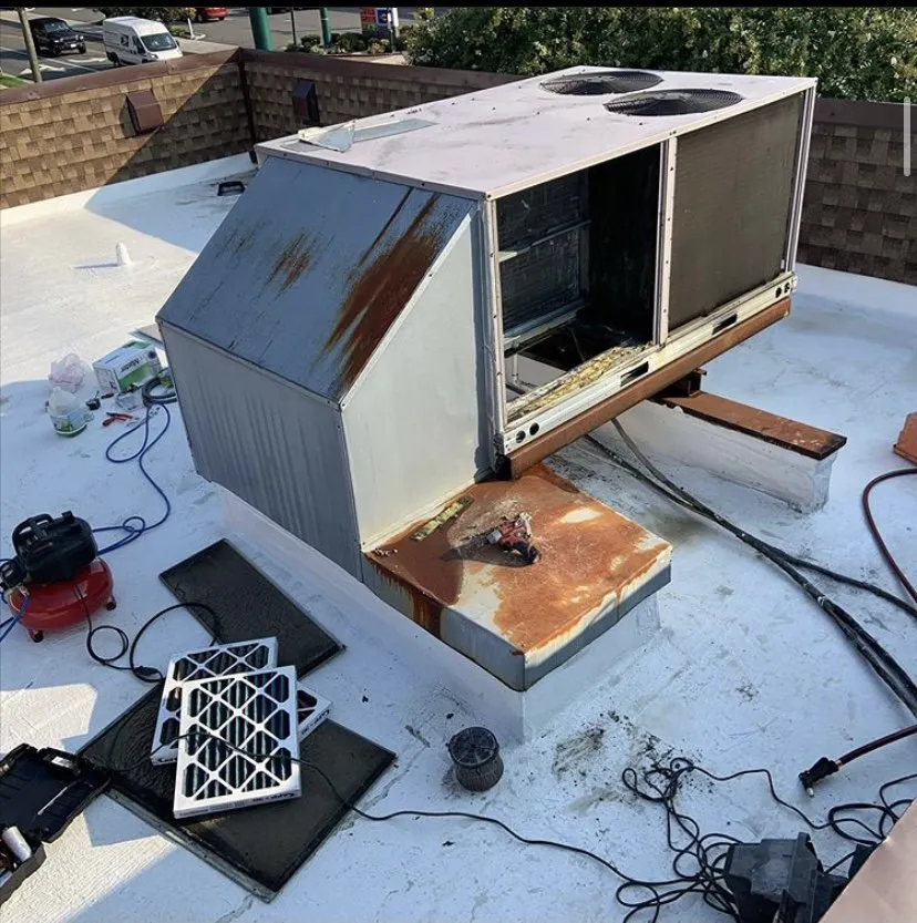 Slide of Johel Ramos