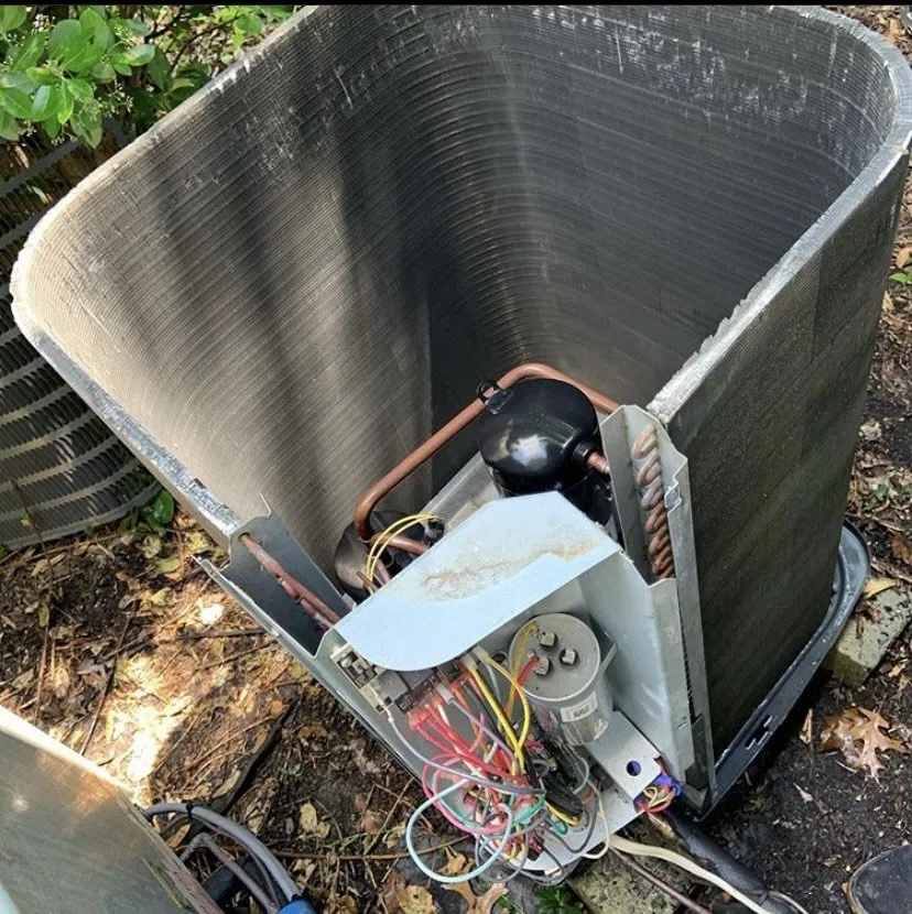 Slide of Johel Ramos