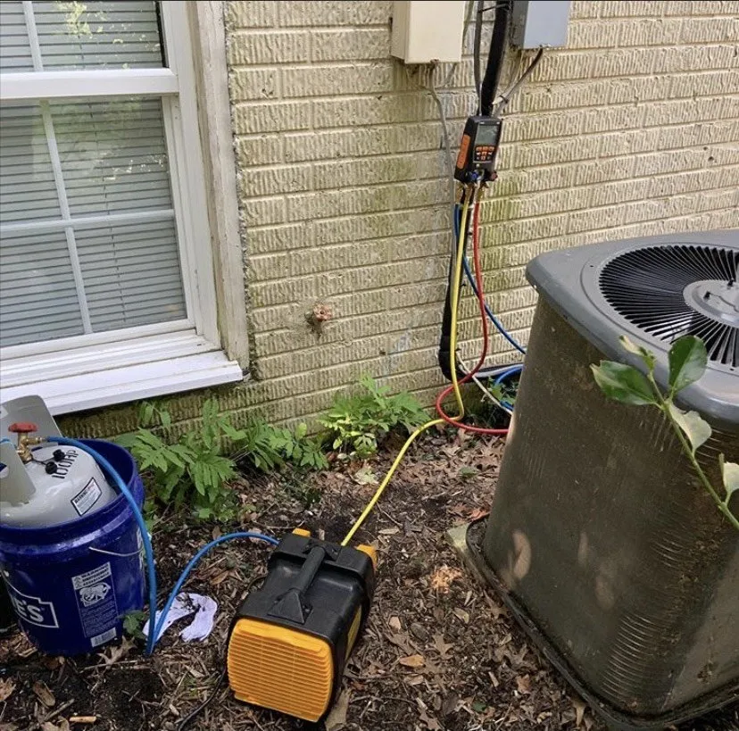 Slide of Johel Ramos