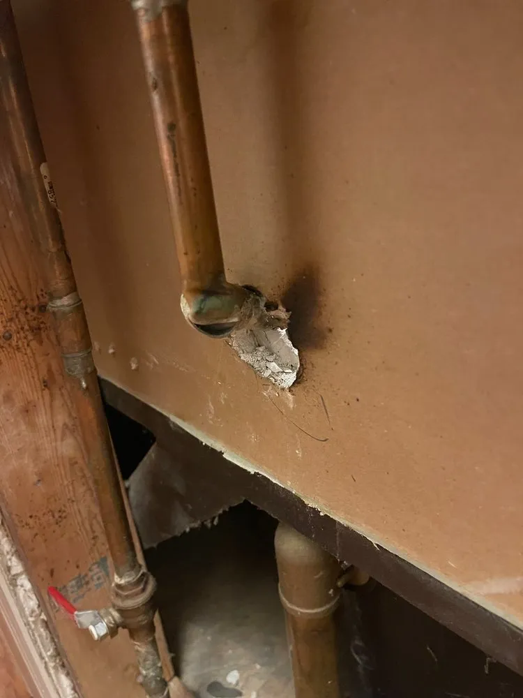 Slide of John C. Flood of MD