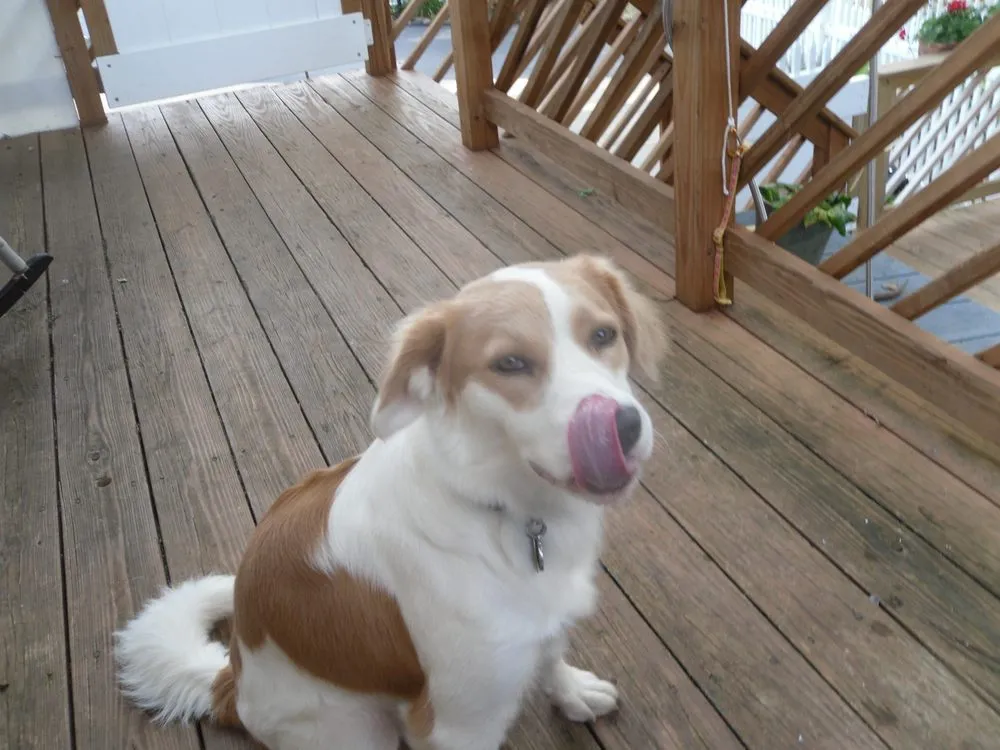 Slide of John J Muller Plumbing & Heating