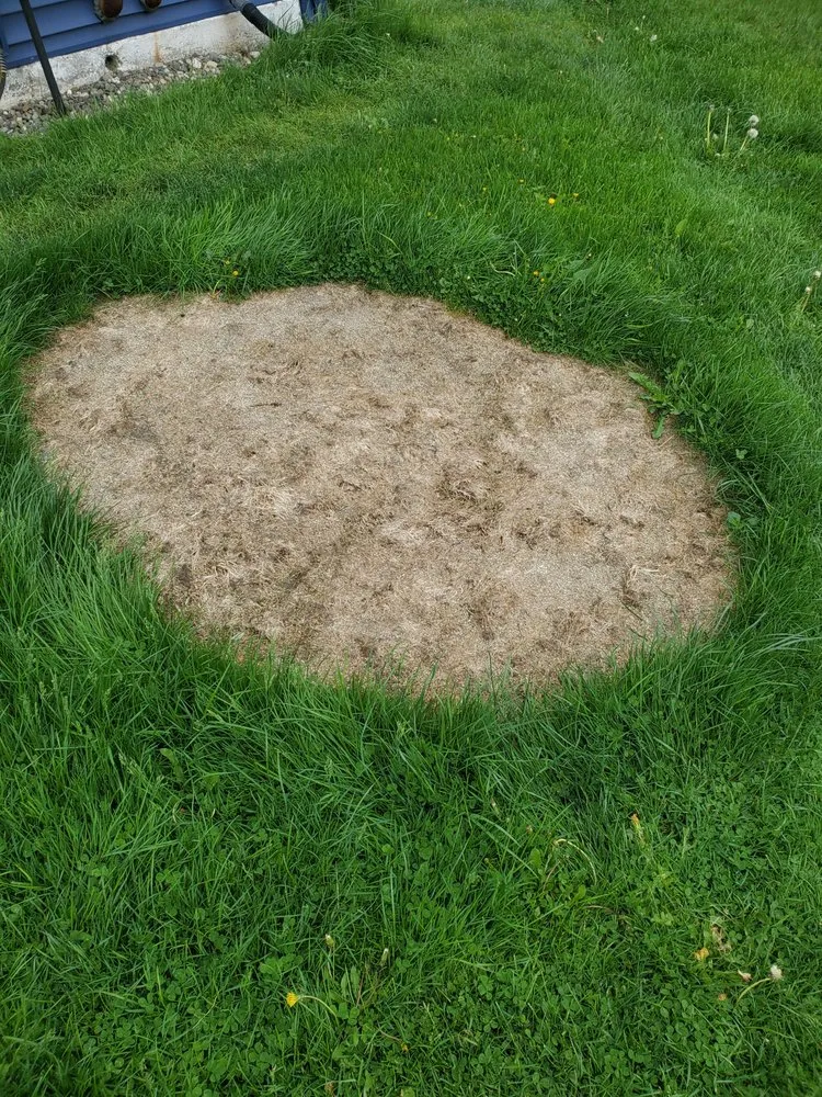 Slide of John Ray & Sons