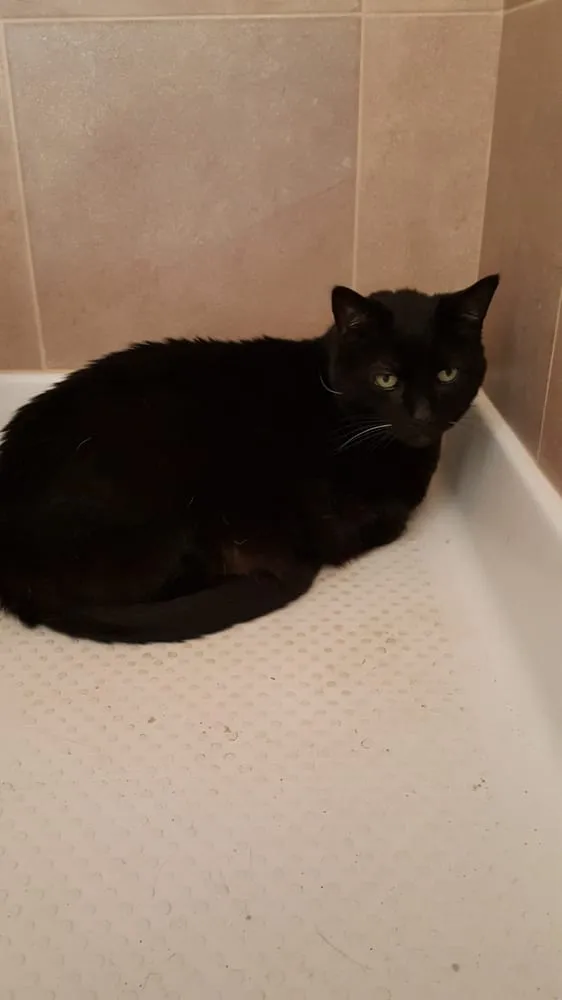 Slide of John Rose Heating & Cooling