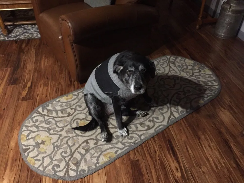 Slide of Johnny 5 Heating & Air Conditioning