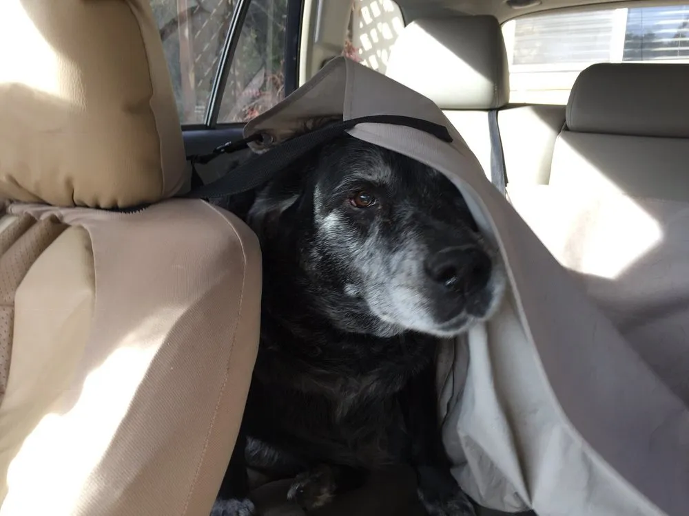 Slide of Johnny 5 Heating & Air Conditioning