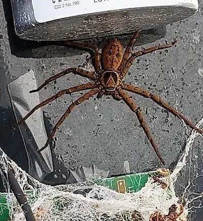 Slide of Johnny Cools Heating & Air