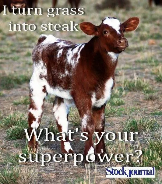 Slide of Johnny Cools Heating & Air