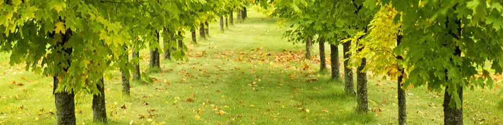 Slide of Johnstone Supply