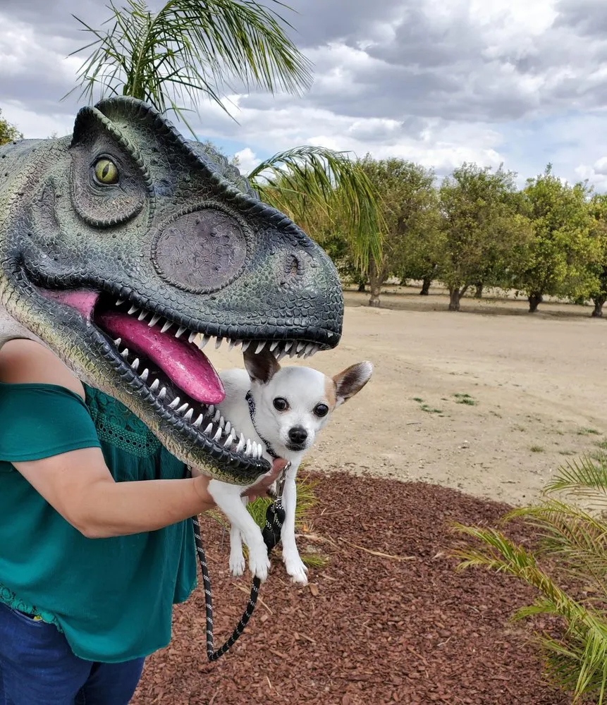 Slide of Jon Dooley Heating & Cooling