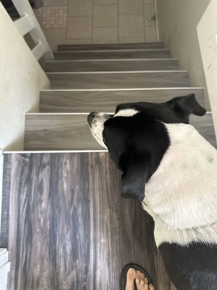 Slide of JP6 Enterprise Handyman Services, LLC