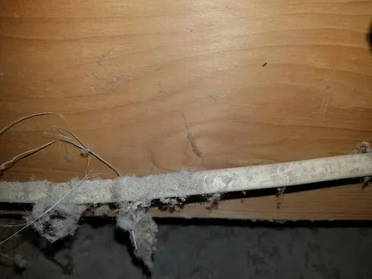 Jr Duct work cleaning