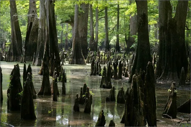 Slide of JR's Plumbing