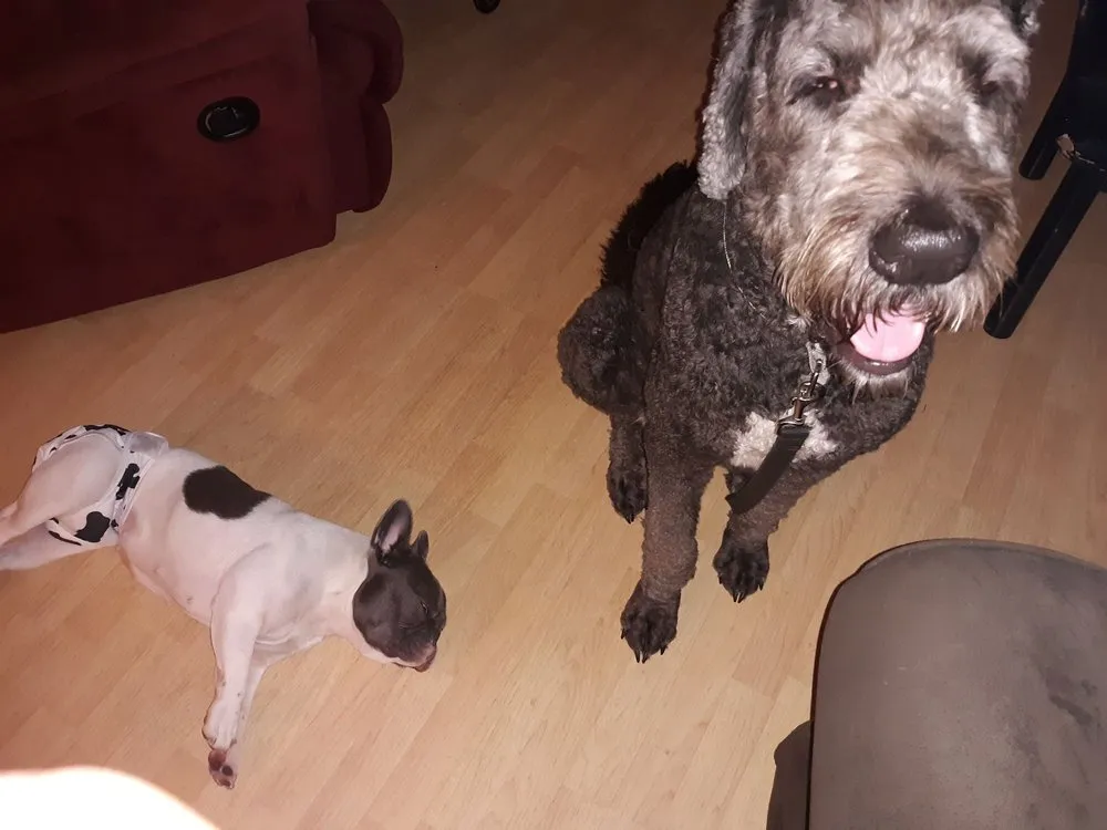 Slide of J's Heating & Cooling