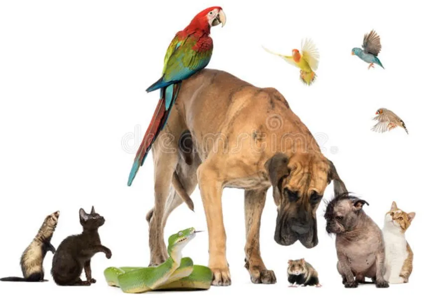 Slide of JTM Mechanical Services