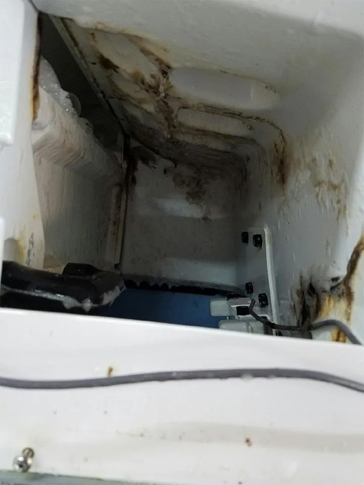 Slide of JTM Service Group