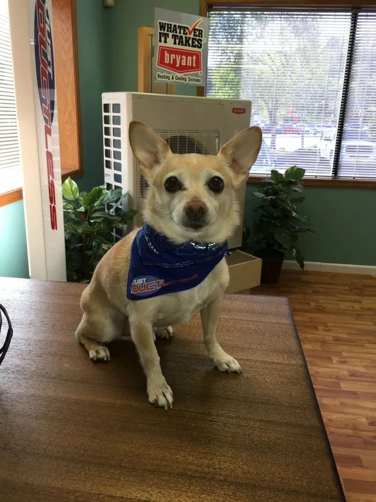 Slide of Just Ductless